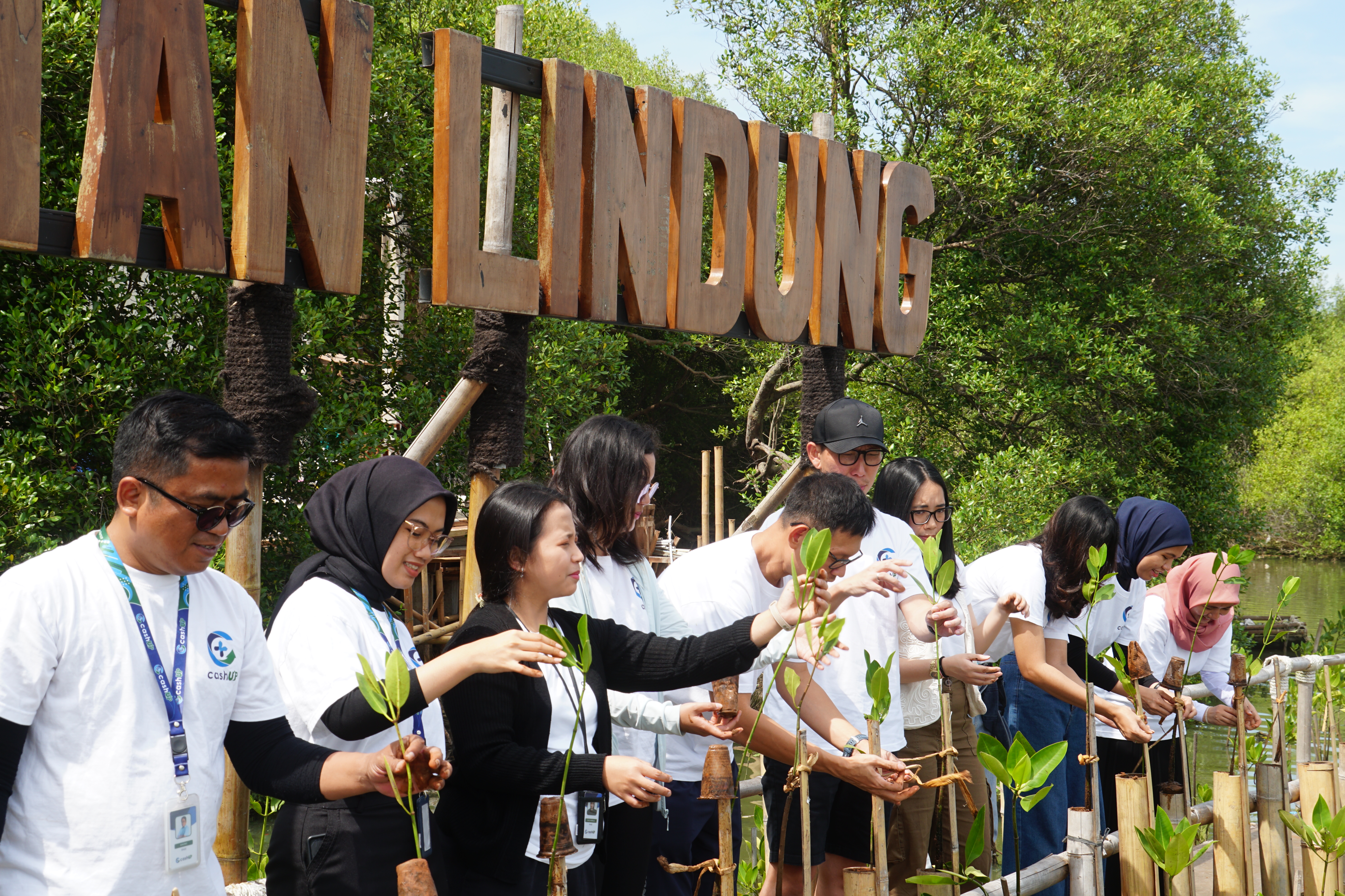 Sustainability activity 3